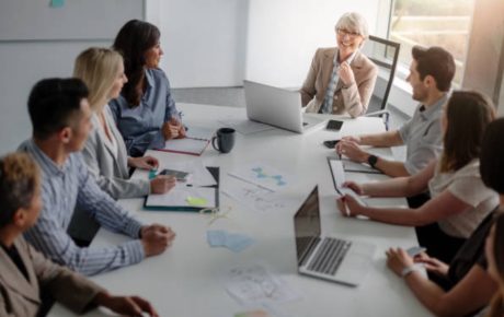 Mediation in Ethics Committees and Governance Disputes