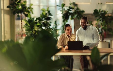 Mediation for Resolving Conflicts Over Innovation vs. Tradition in Longstanding Teams