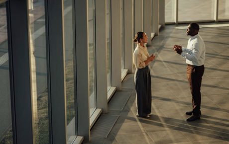 Mediation for Conflicts Between Emerging Leaders and Senior Executives